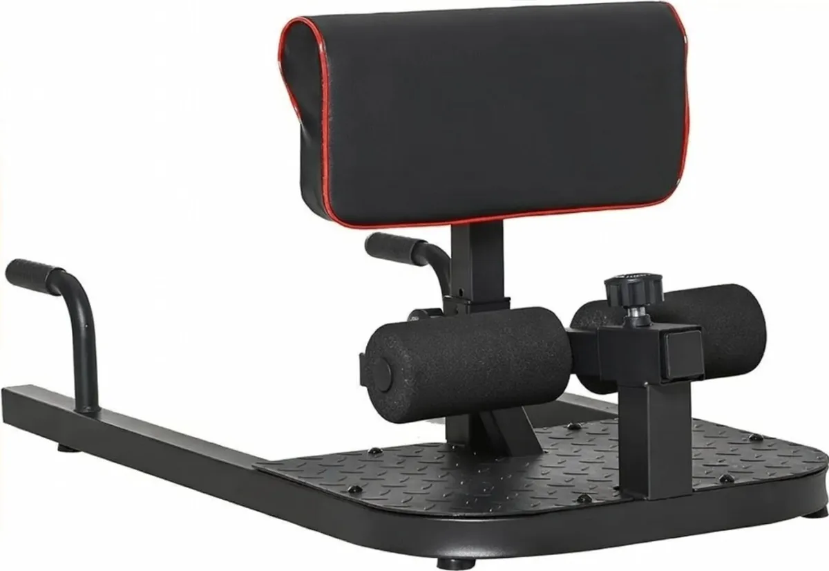Sissy Squat Machine - Image 1