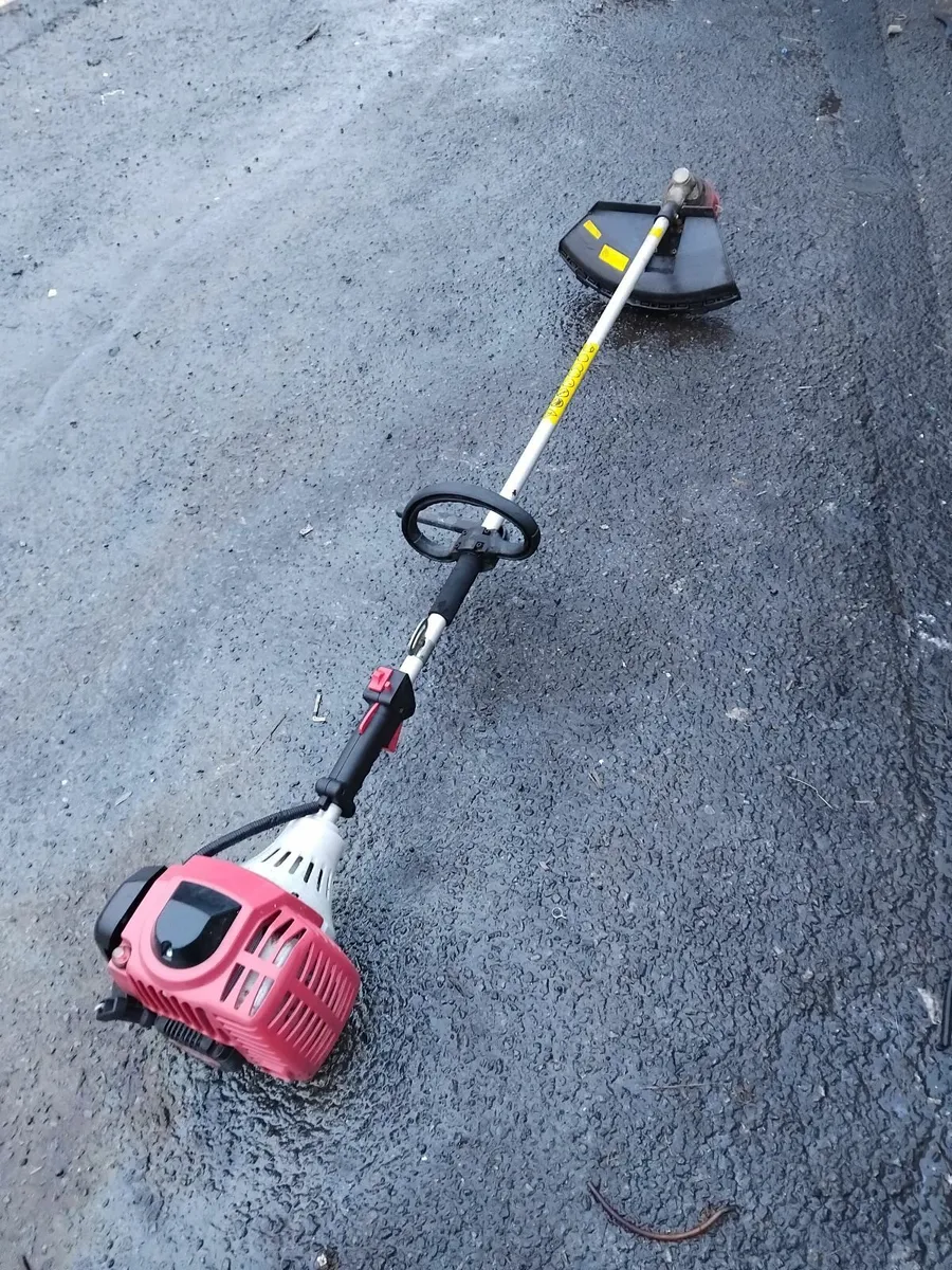 Grass strummers running very well priced - Image 2