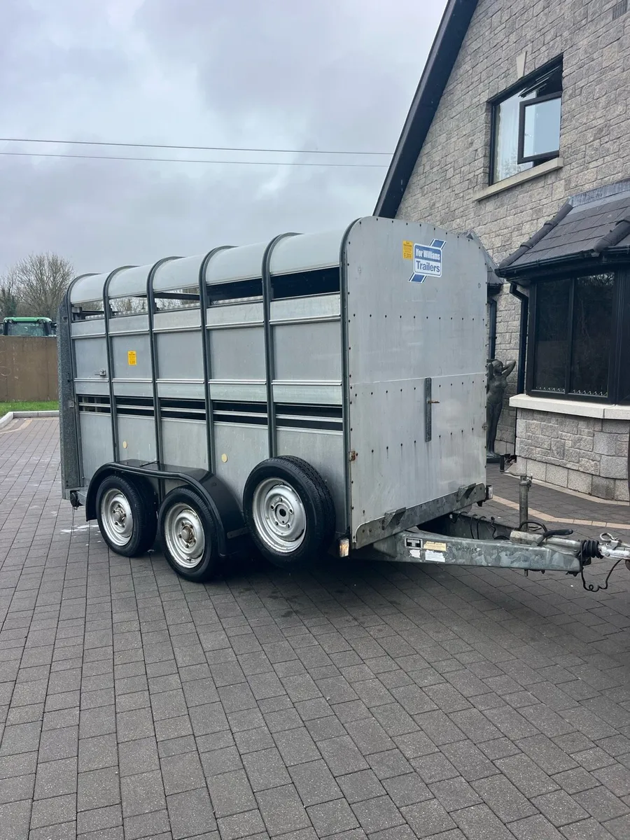 Ifor Williams 10x5 with sheep decks - Image 1