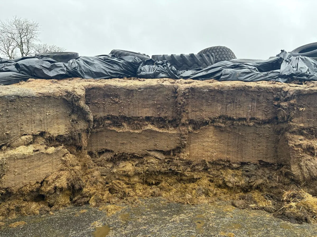 Pit Silage - Image 1