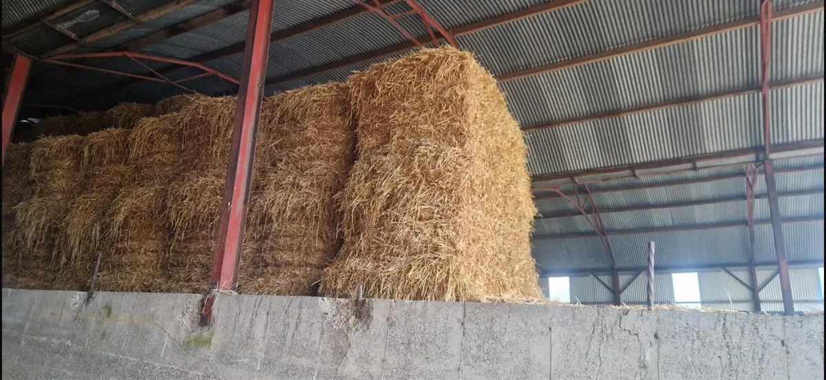 Spring Oaten straw 8x4x4 - Image 3