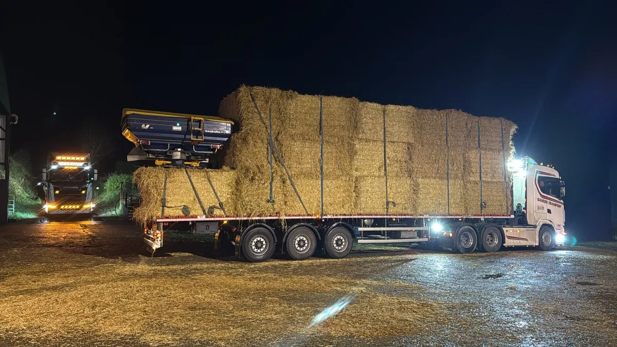 Spring Oaten straw 8x4x4 - Image 1