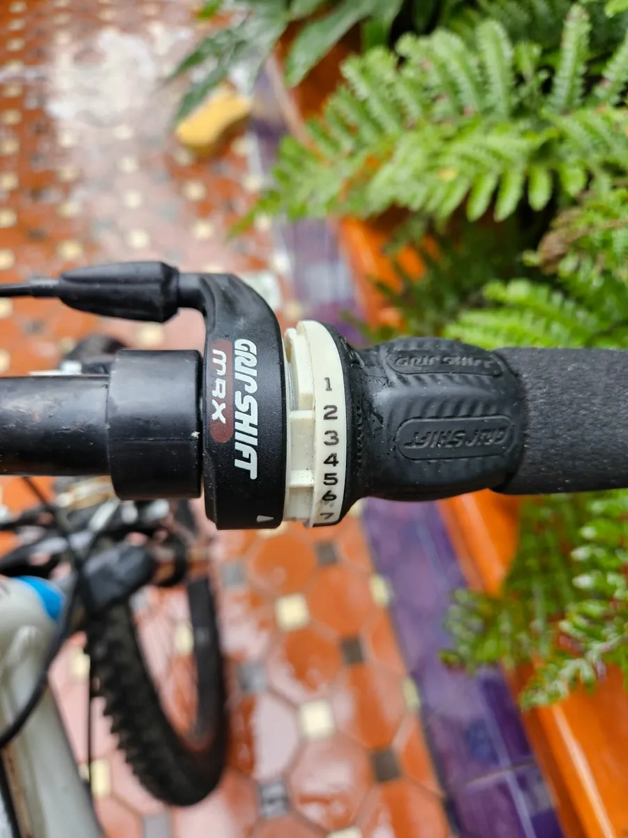 Giant bike - Image 2