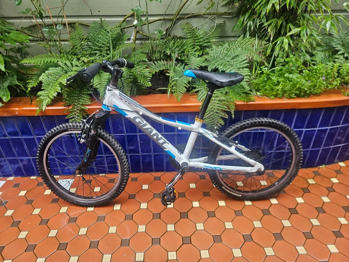 Giant bike - Image 1