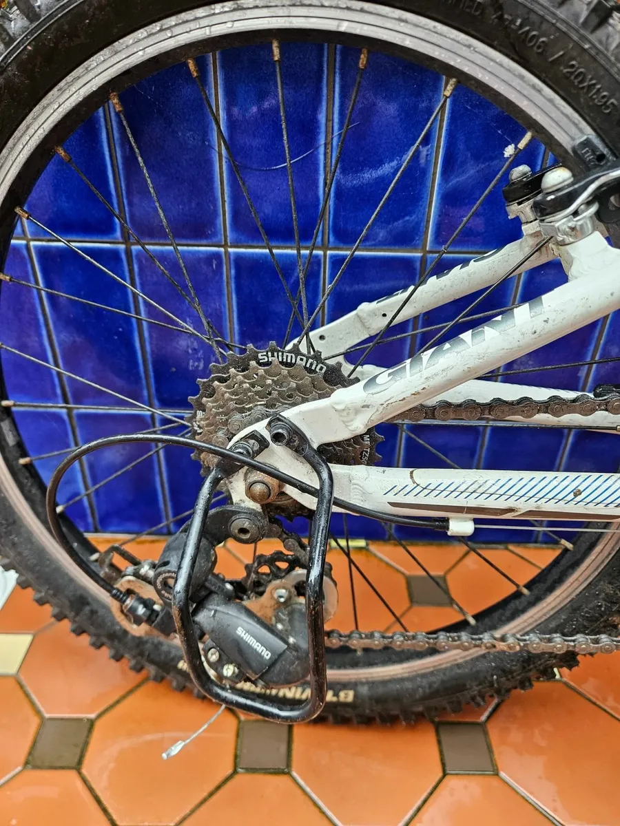 Giant bike - Image 3