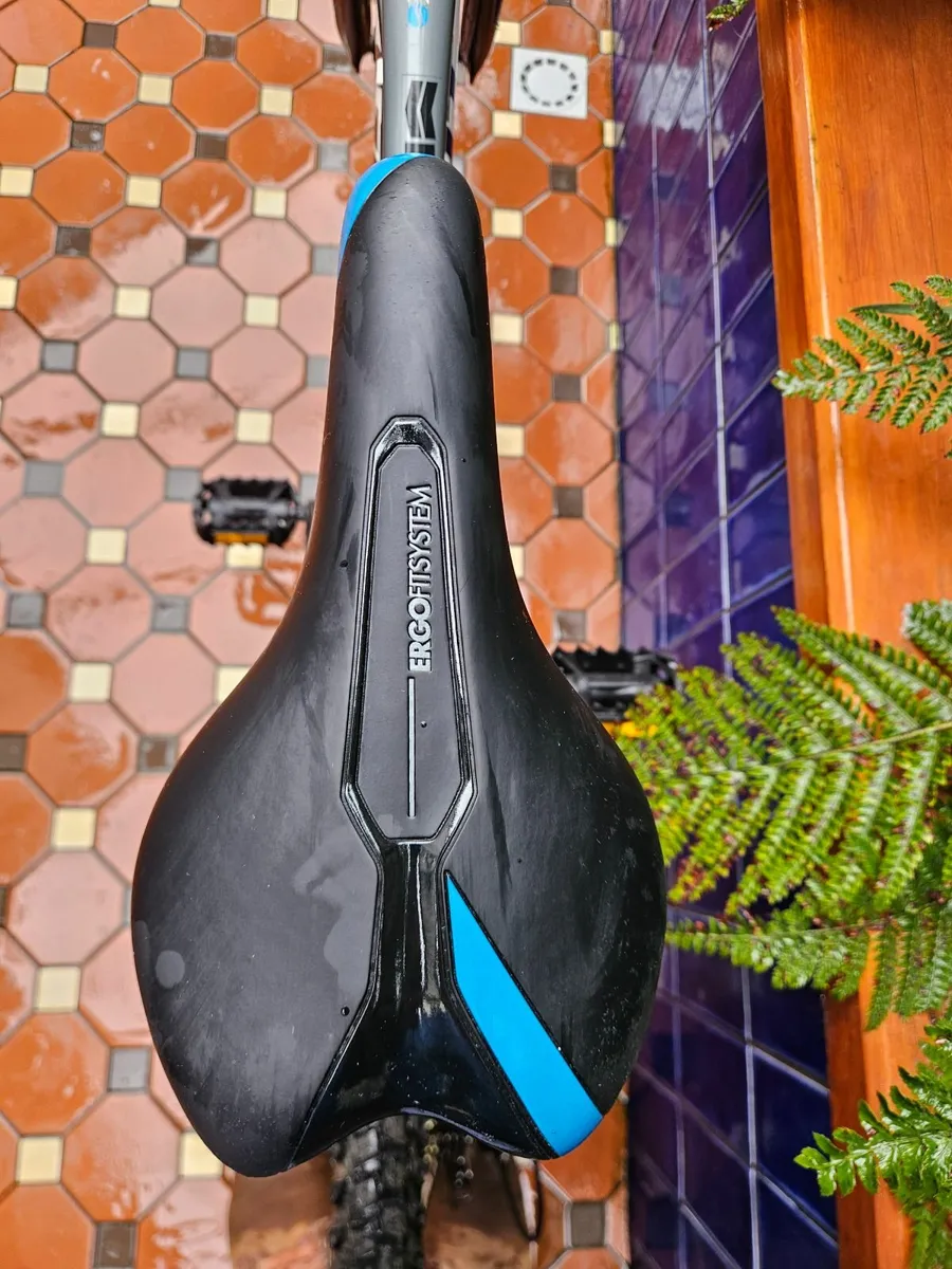 Giant bike - Image 4