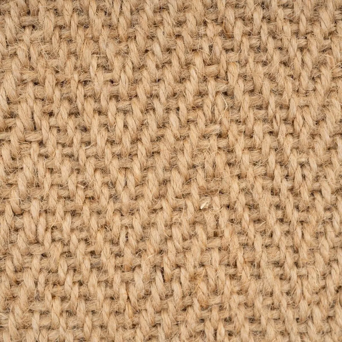 Natural Sustainable Olive Green Cotton Border - Image 3