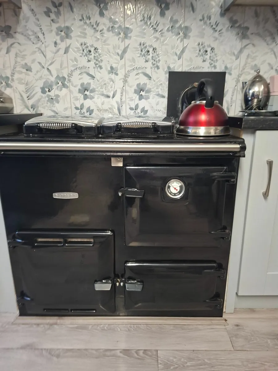 Oil Fired Cooker - Image 3