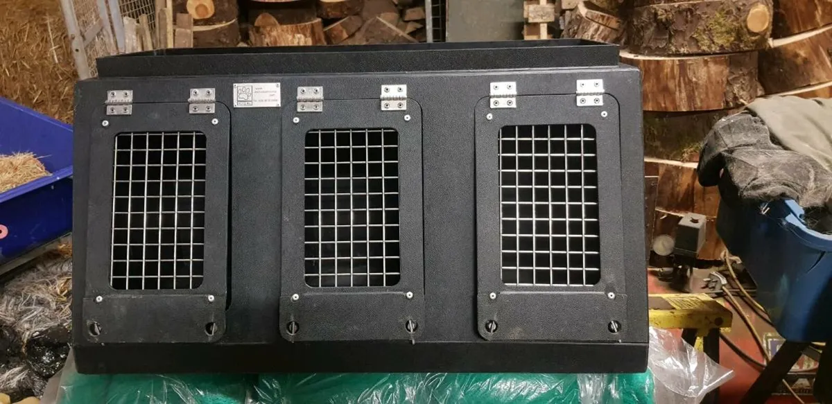 Terrier Box - Image 3