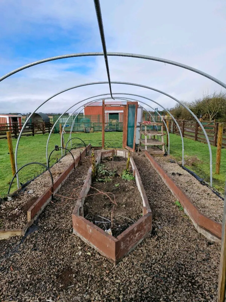 Polytunnel - Image 1
