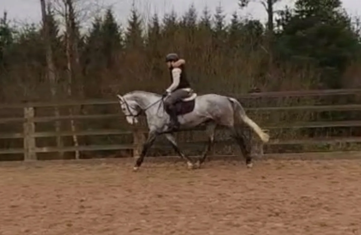 Beautiful Connie x TB - Image 1