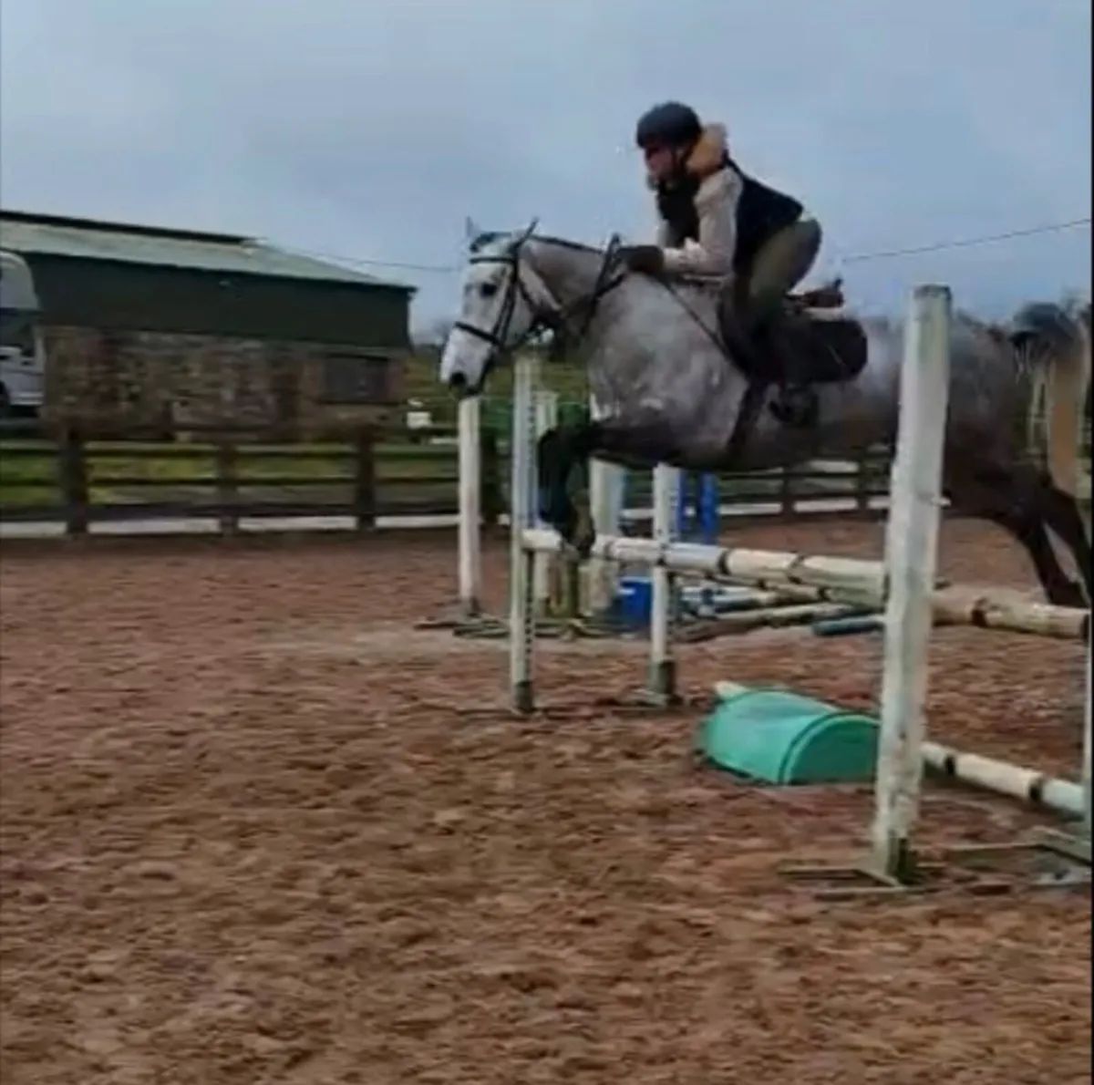 Beautiful Connie x TB - Image 2