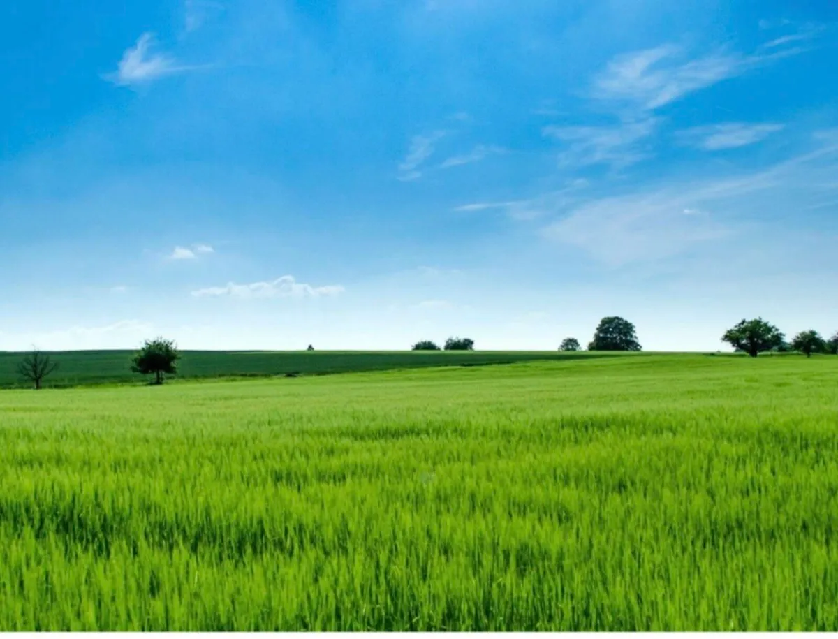 Land Wanted  for rent