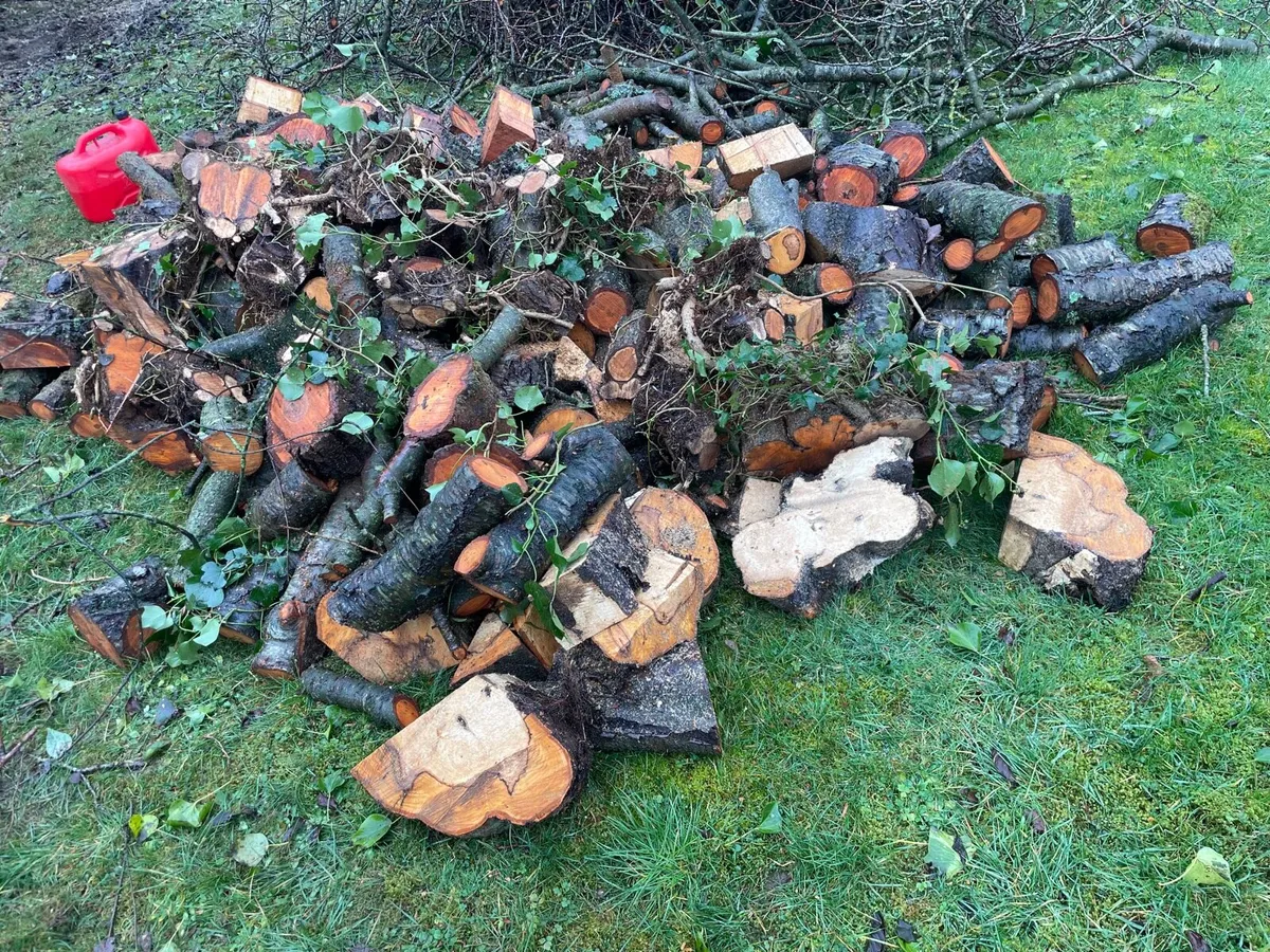 Wood for sale €200 everything to go large trailer - Image 1