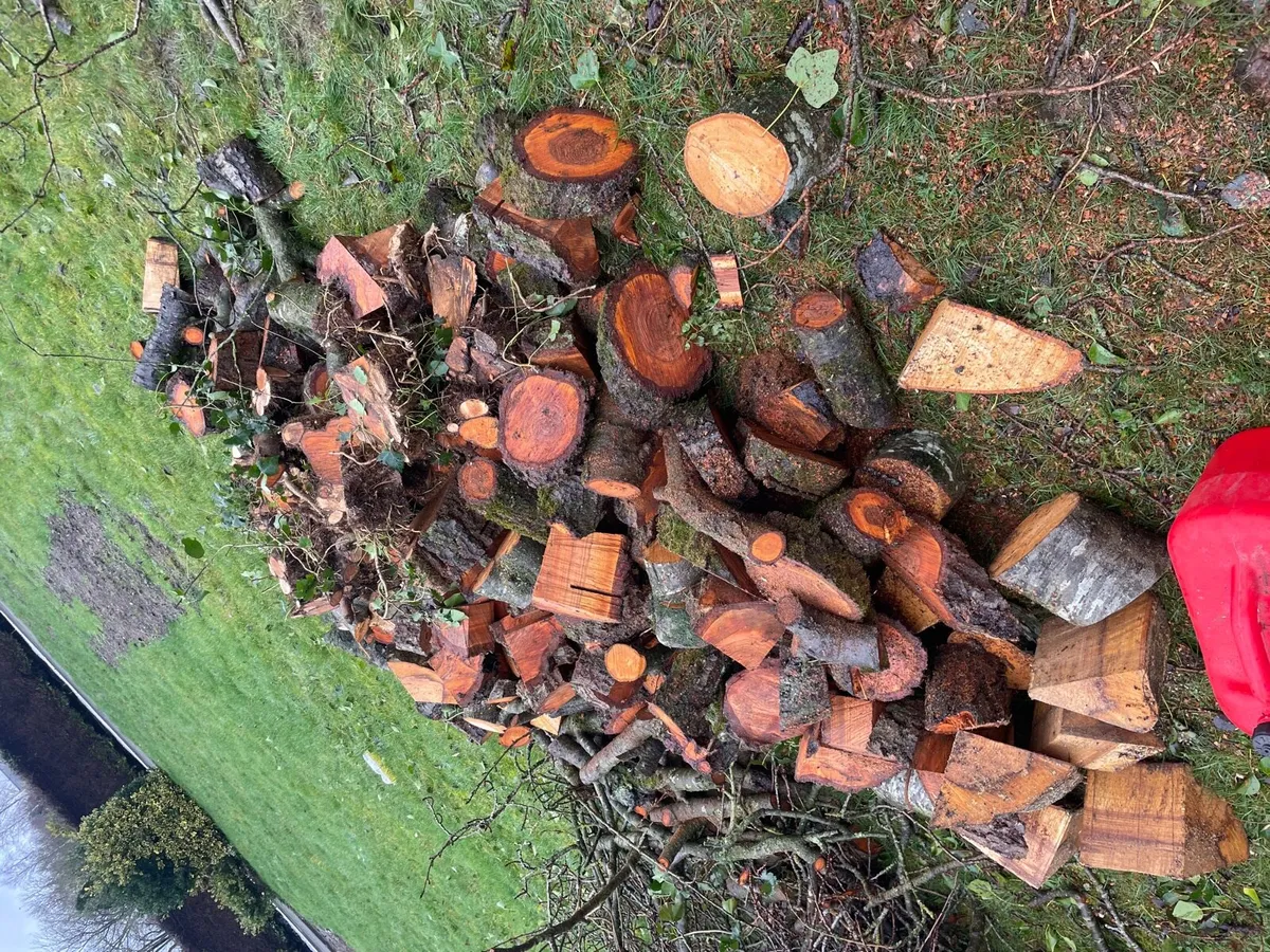 Wood for sale €200 everything to go large trailer - Image 2