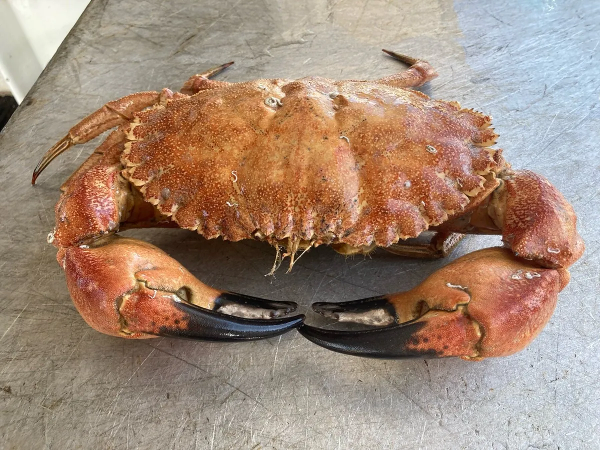 Tonnege and Kilowatt’s under 18 meter