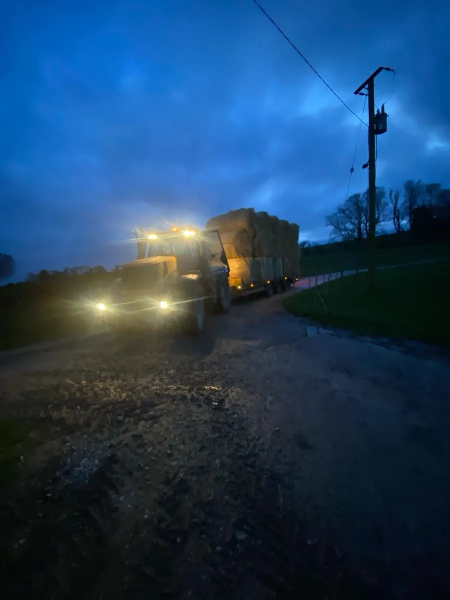 Straw  Delivery included - Image 3