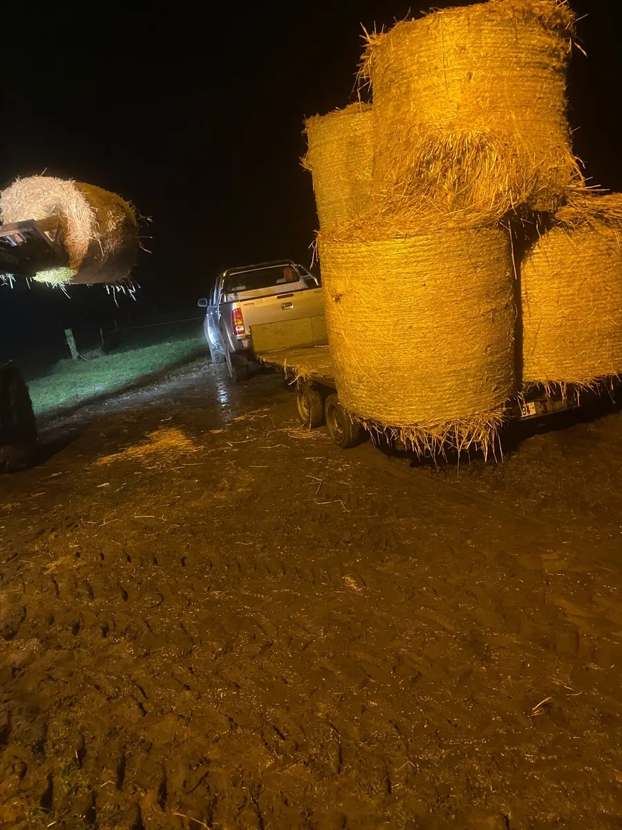 Straw  Delivery included - Image 4