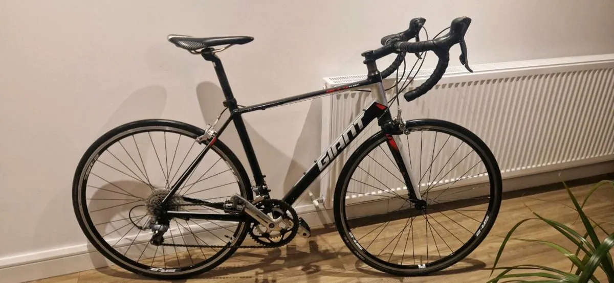 Giant defy ( serviced ) ( delivery ) - Image 1