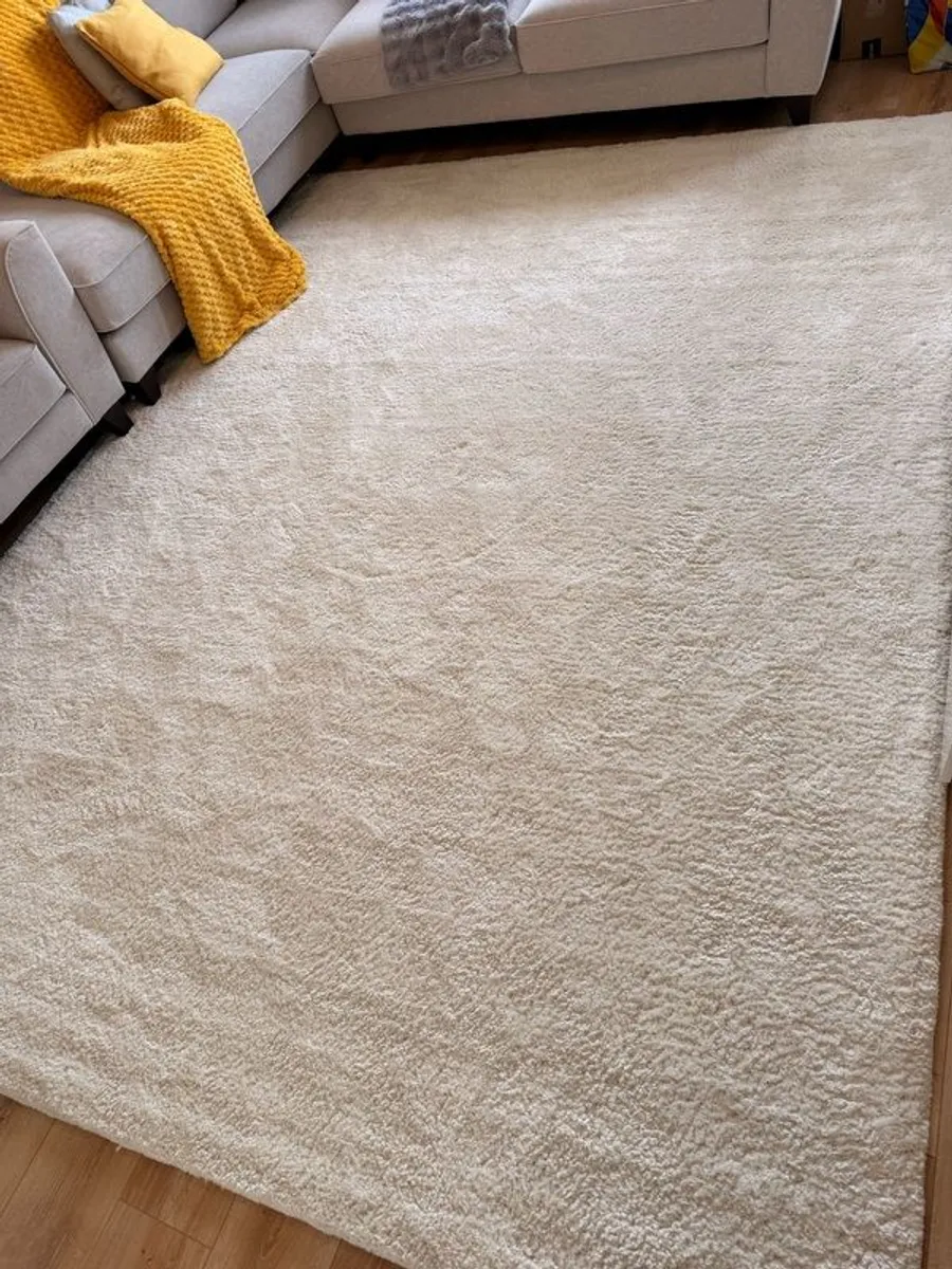 Living room rug - Image 1