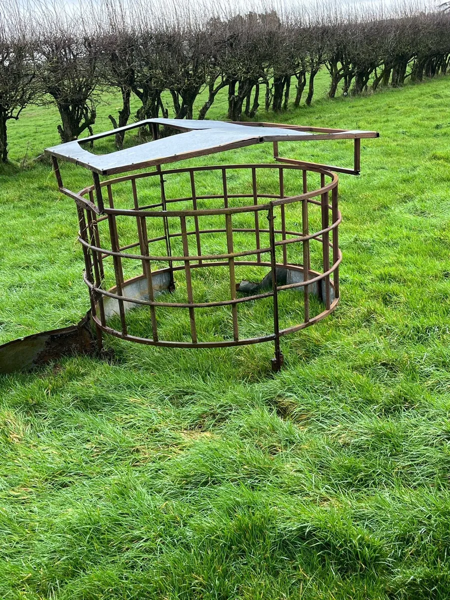 Sheep feeder