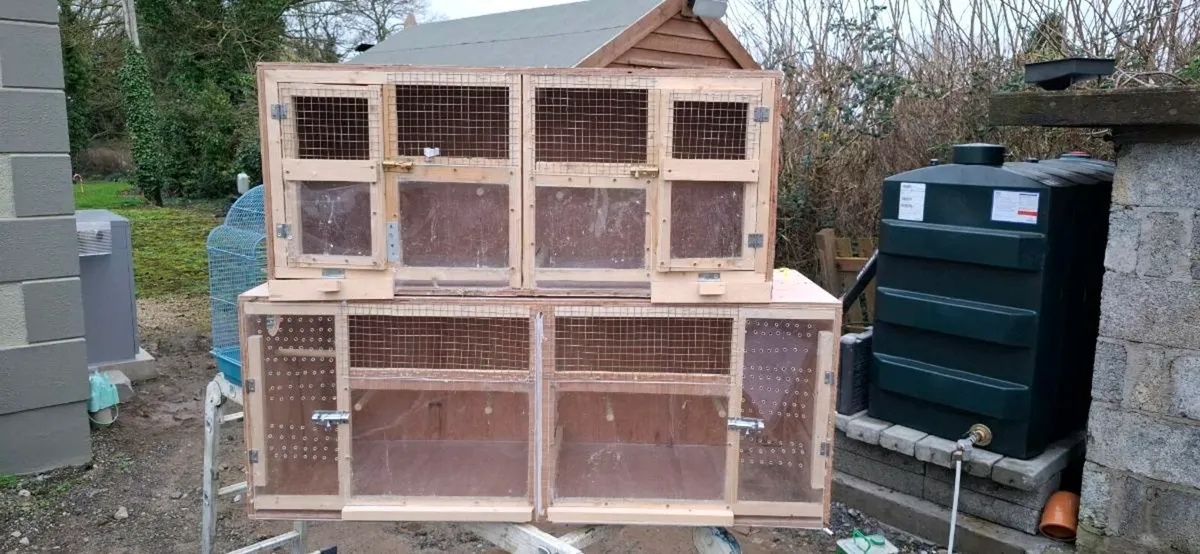 2 x Large flight breeding cages for sale - Image 1