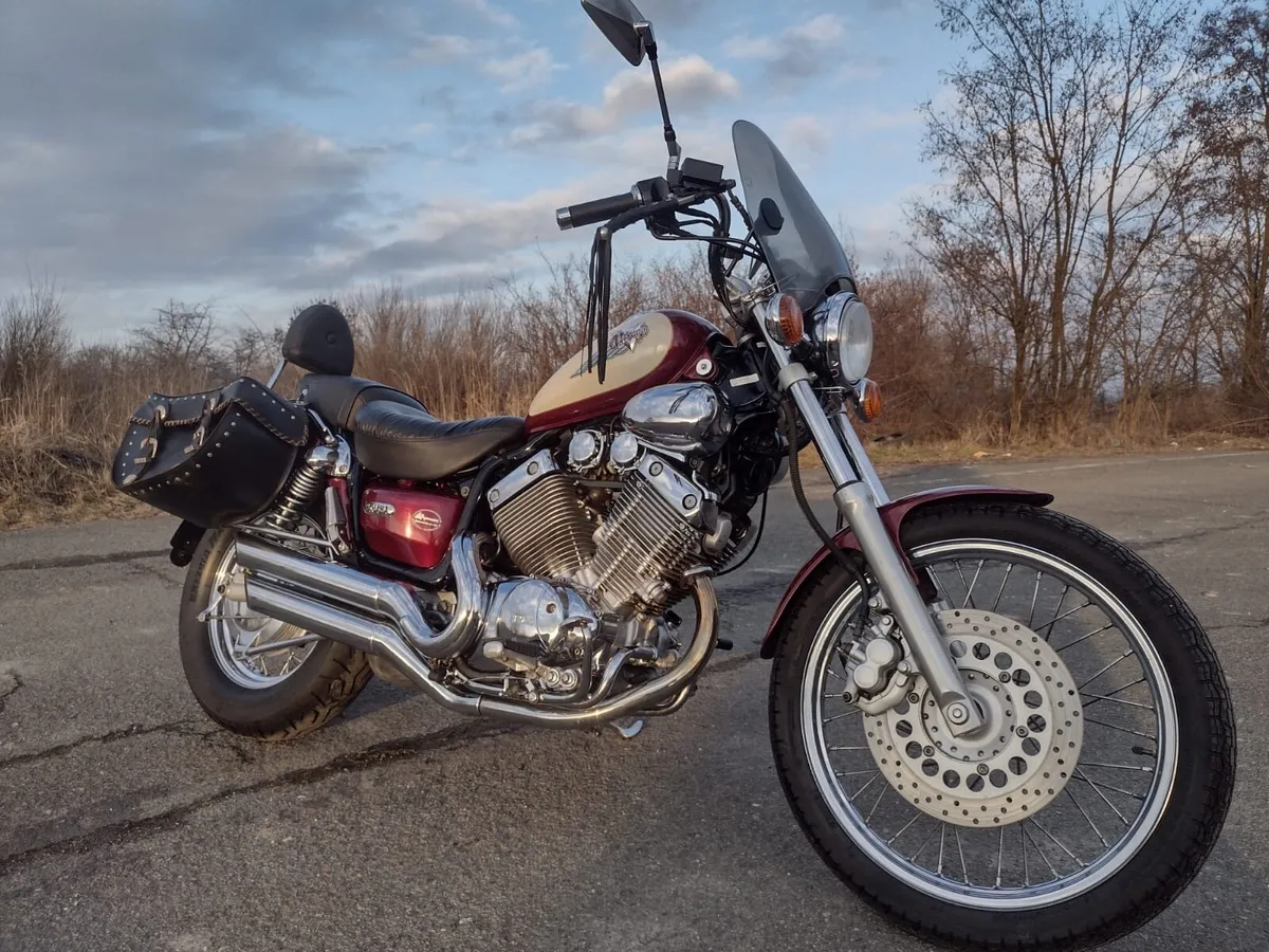 Yamaha Virago 535 dx - Mint - Image 1