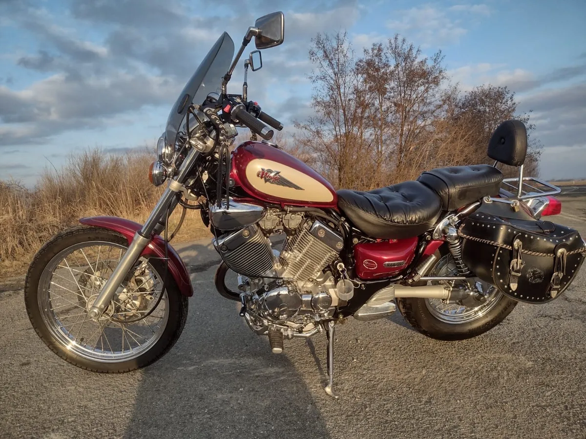 Yamaha Virago 535 dx - Mint - Image 3