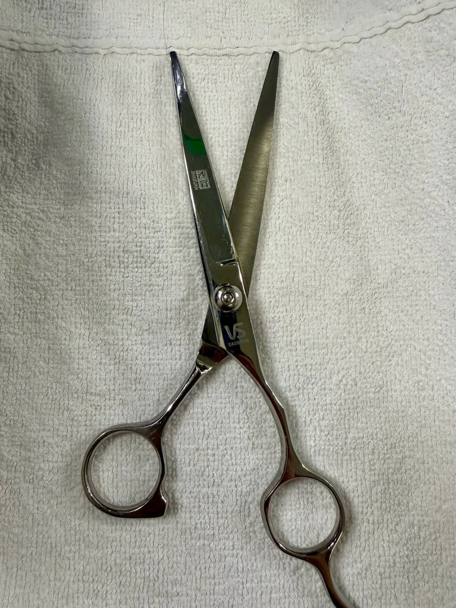 Professional Scissors - Image 1