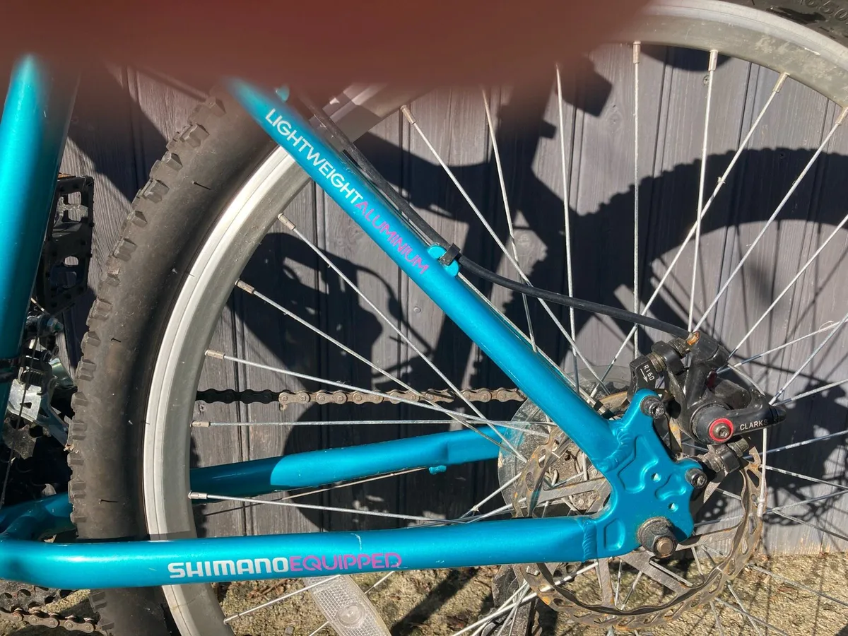 Apollo Bicycle - Image 3