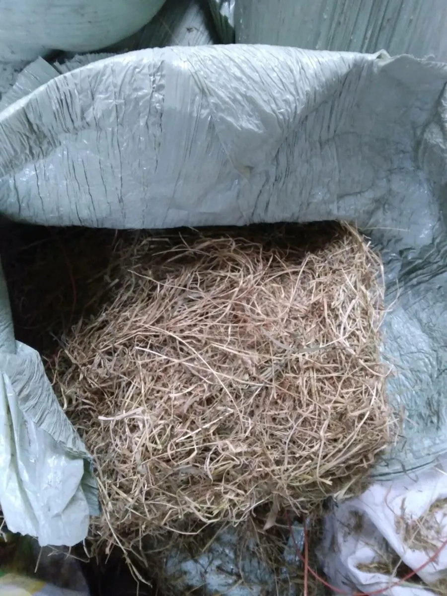 10 Square Top Quality Haylage bales.The Lot - Image 1