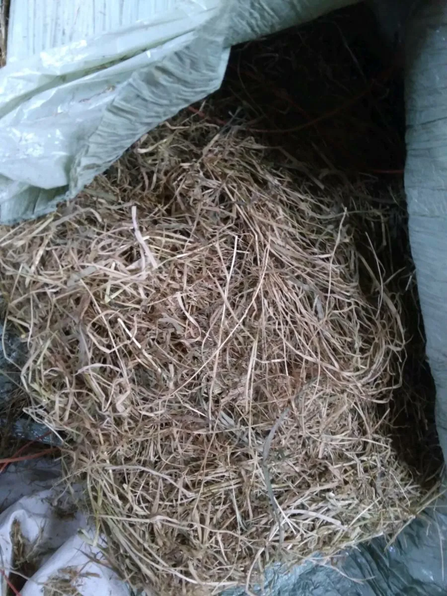 10 Square Top Quality Haylage bales.The Lot - Image 3