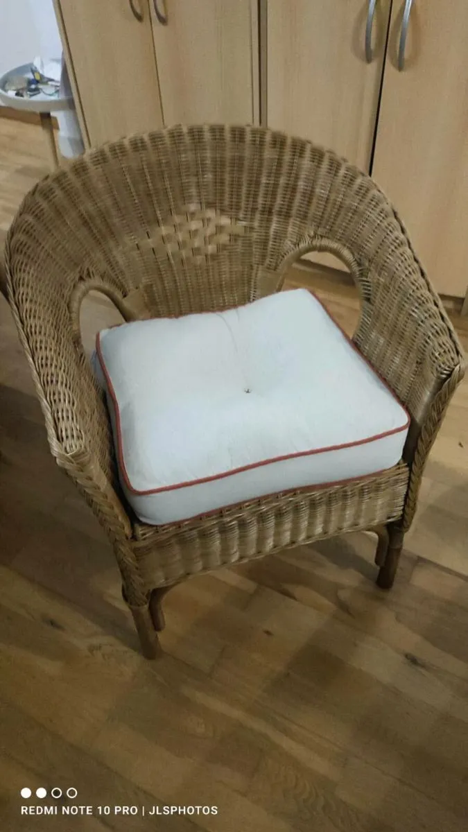 Wicked Chair and Cushion - Image 1
