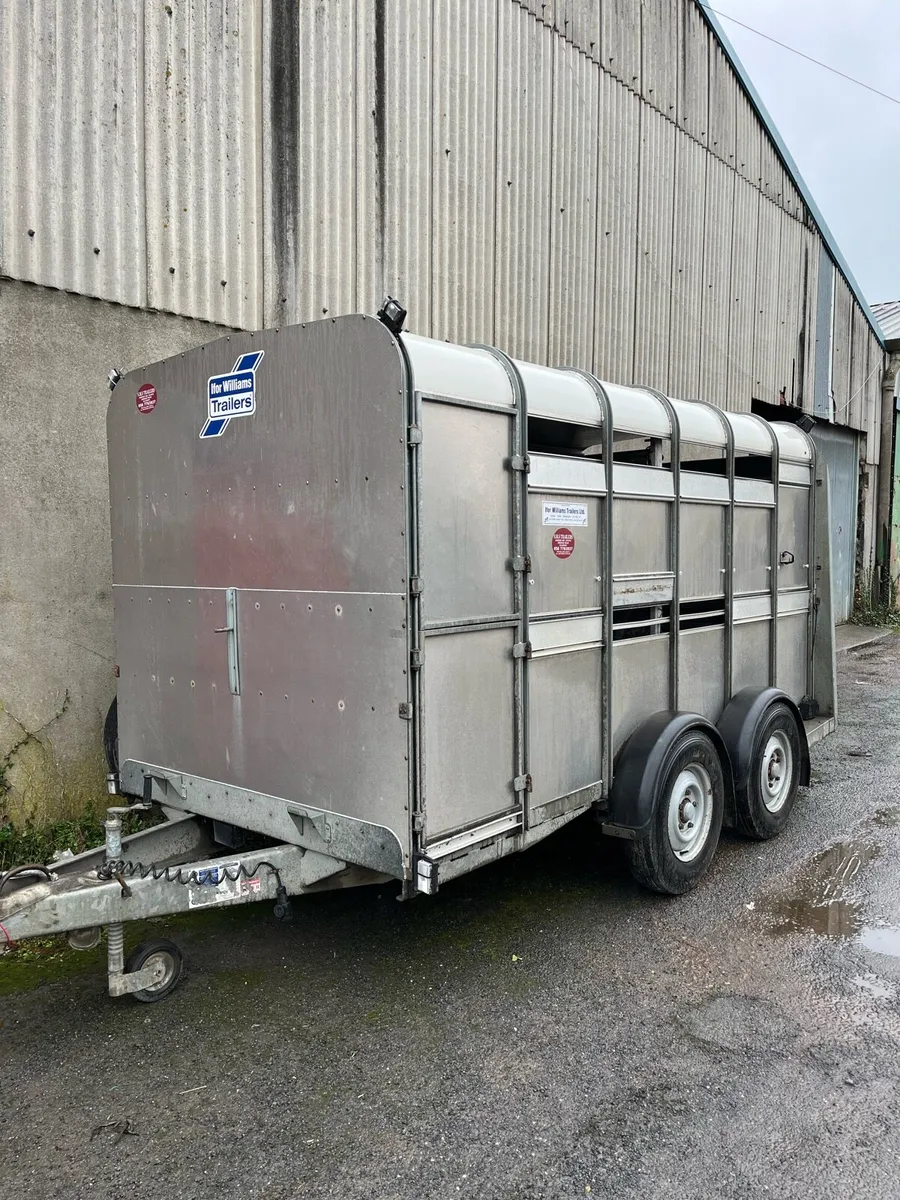 Ifor Williams cattle box - Image 1