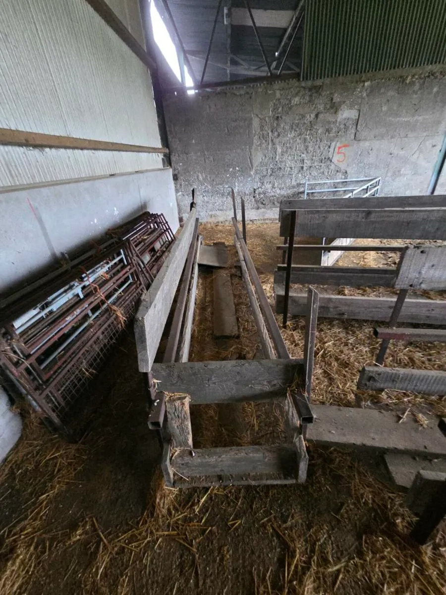 Sheep feeders and barriers - Image 2