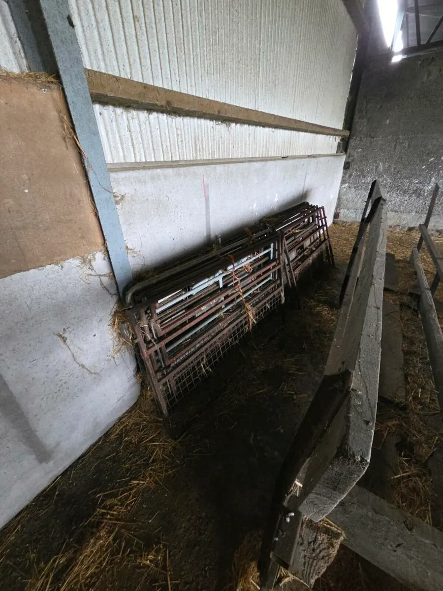 Sheep feeders and barriers - Image 3