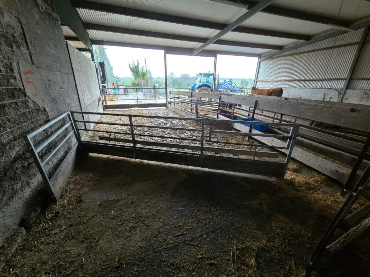 Sheep feeders and barriers - Image 4