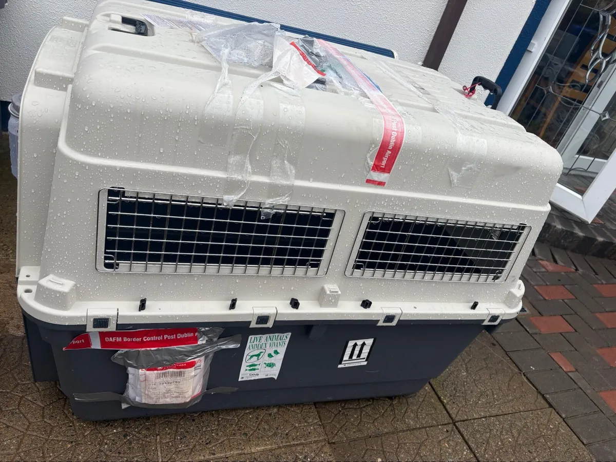 Dog crate - Image 2
