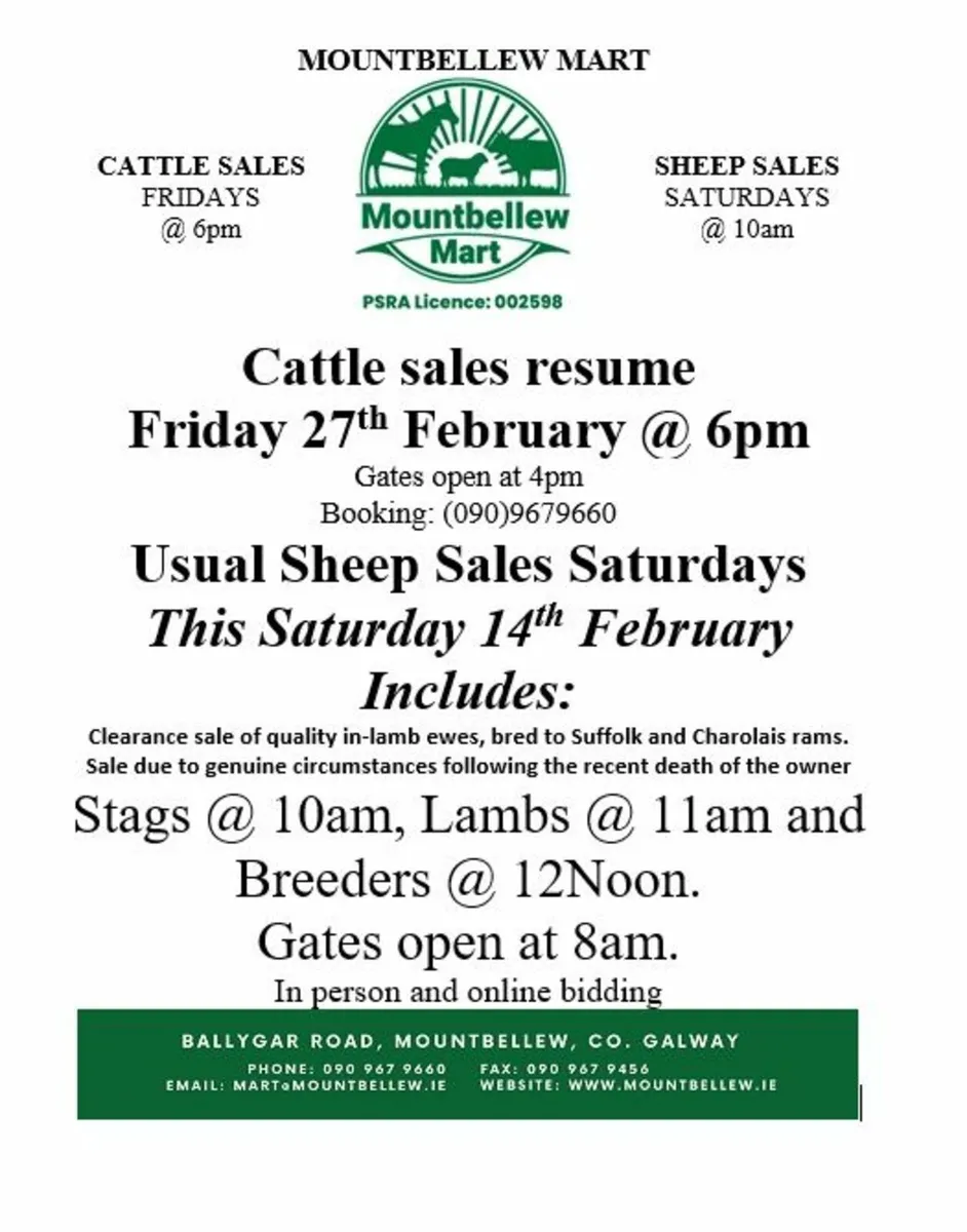 Sheep and Cattle - Image 1