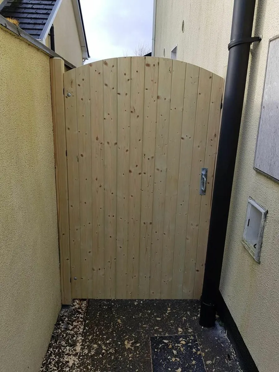 Arched Side Gate - Image 1