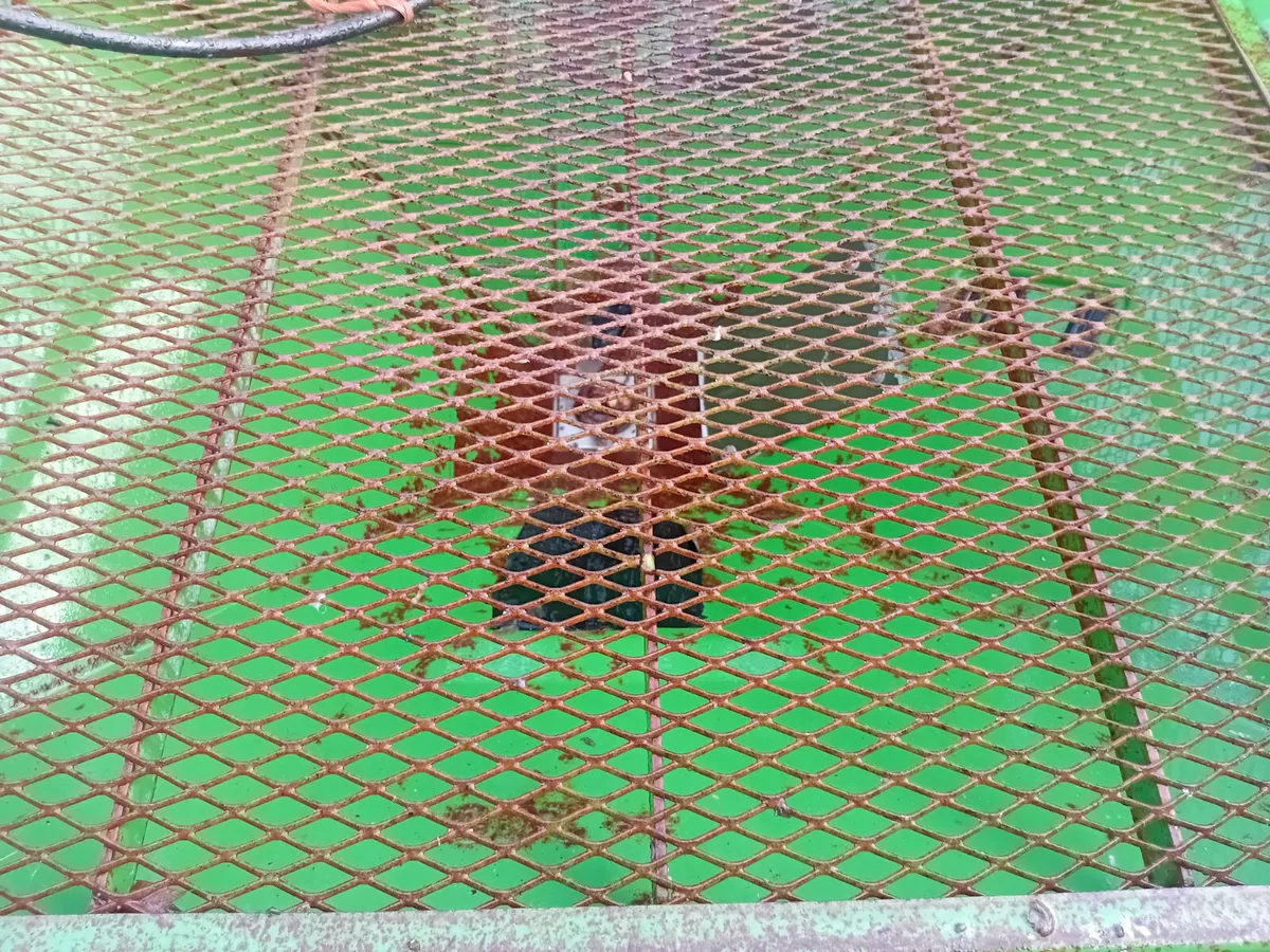 Amazone 902 - Image 4