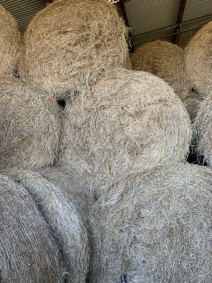 Round bales of Hay - Image 2