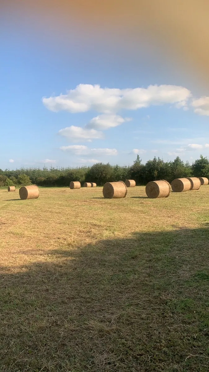 Round bales of Hay - Image 3