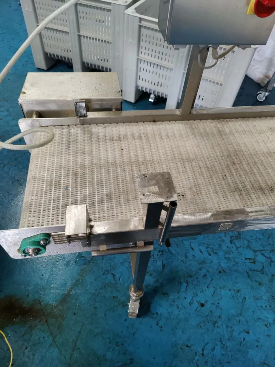 Stainless steel conveyor - Image 2