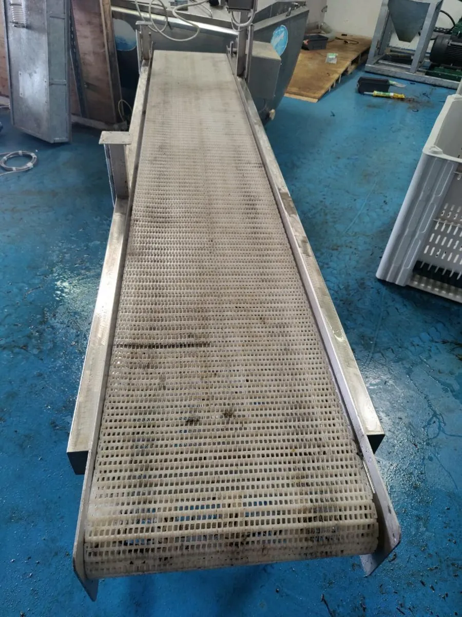 Stainless steel conveyor - Image 1