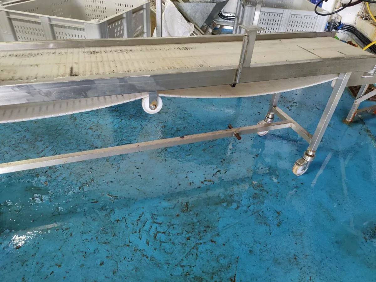 Stainless steel conveyor - Image 4
