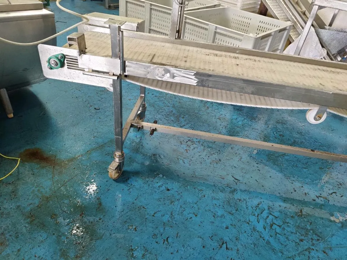 Stainless steel conveyor - Image 3