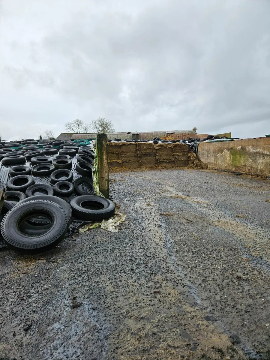 Silage - Image 1