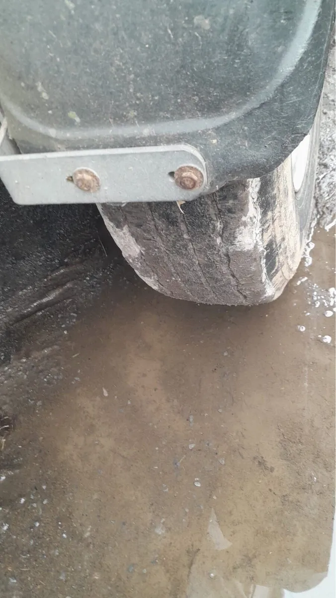 12x6 ifor williams cattle trailer - Image 3