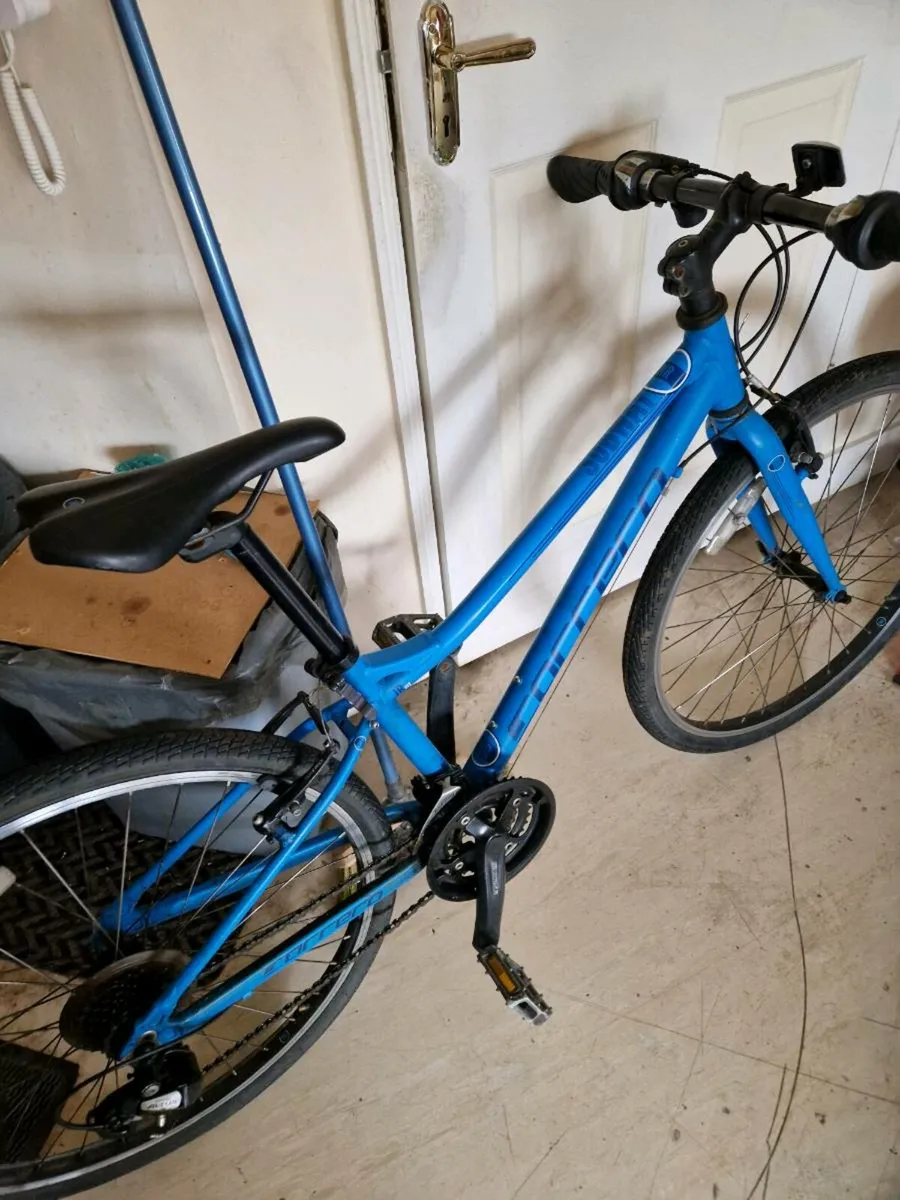 Adult bike midium size - Image 1